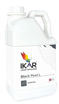 IKAR Black Pearl